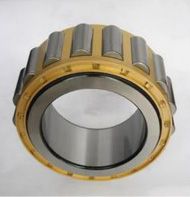 圆柱滚子轴承（无外圈）RN0000型